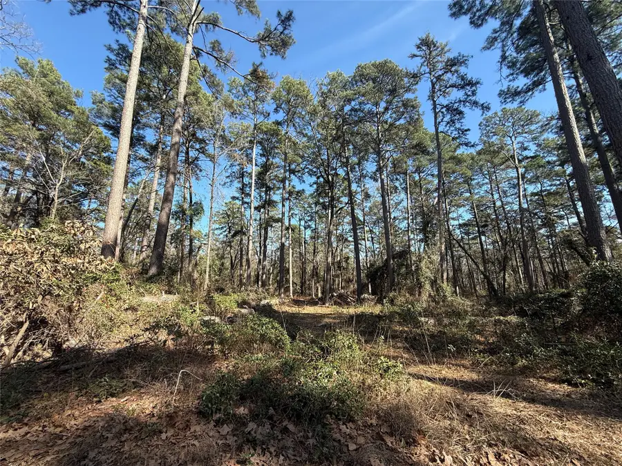 Lot 4 Private Road 8573, Winnsboro, TX 75494 - Image #2