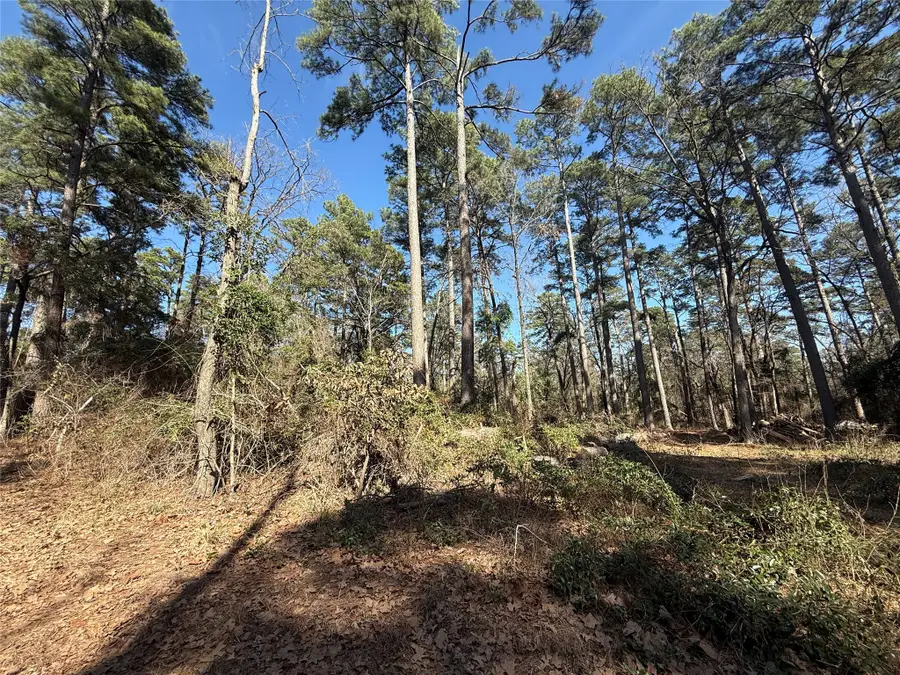 Lot 4 Private Road 8573, Winnsboro, TX 75494 - Image #3
