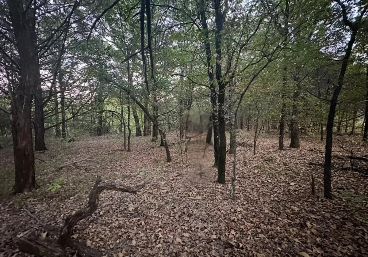 776 Palisades Drive, Gordonville, TX 76245 - Image #1