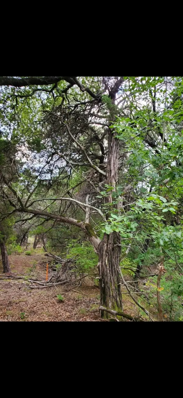 6520 Charleton Lane, Cleburne, TX 76033