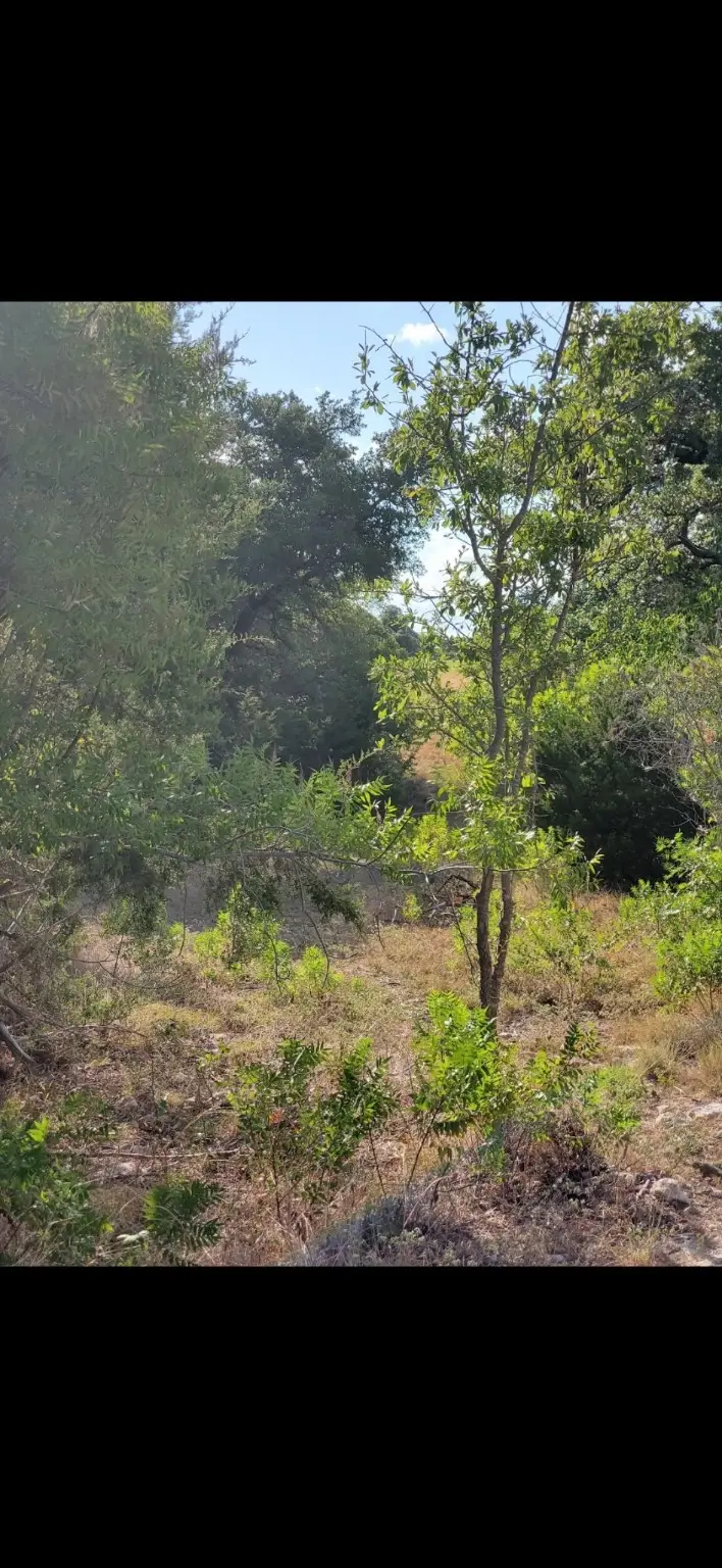 6520 Charleton Lane, Cleburne, TX 76033 - #2