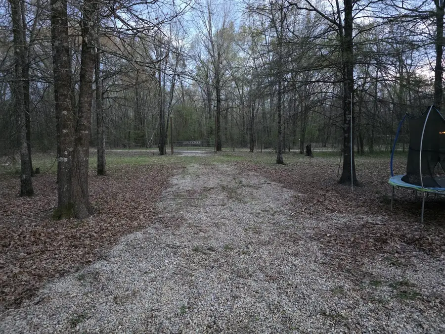 160 Zigler Road, Avery, TX 75554 - Image #3