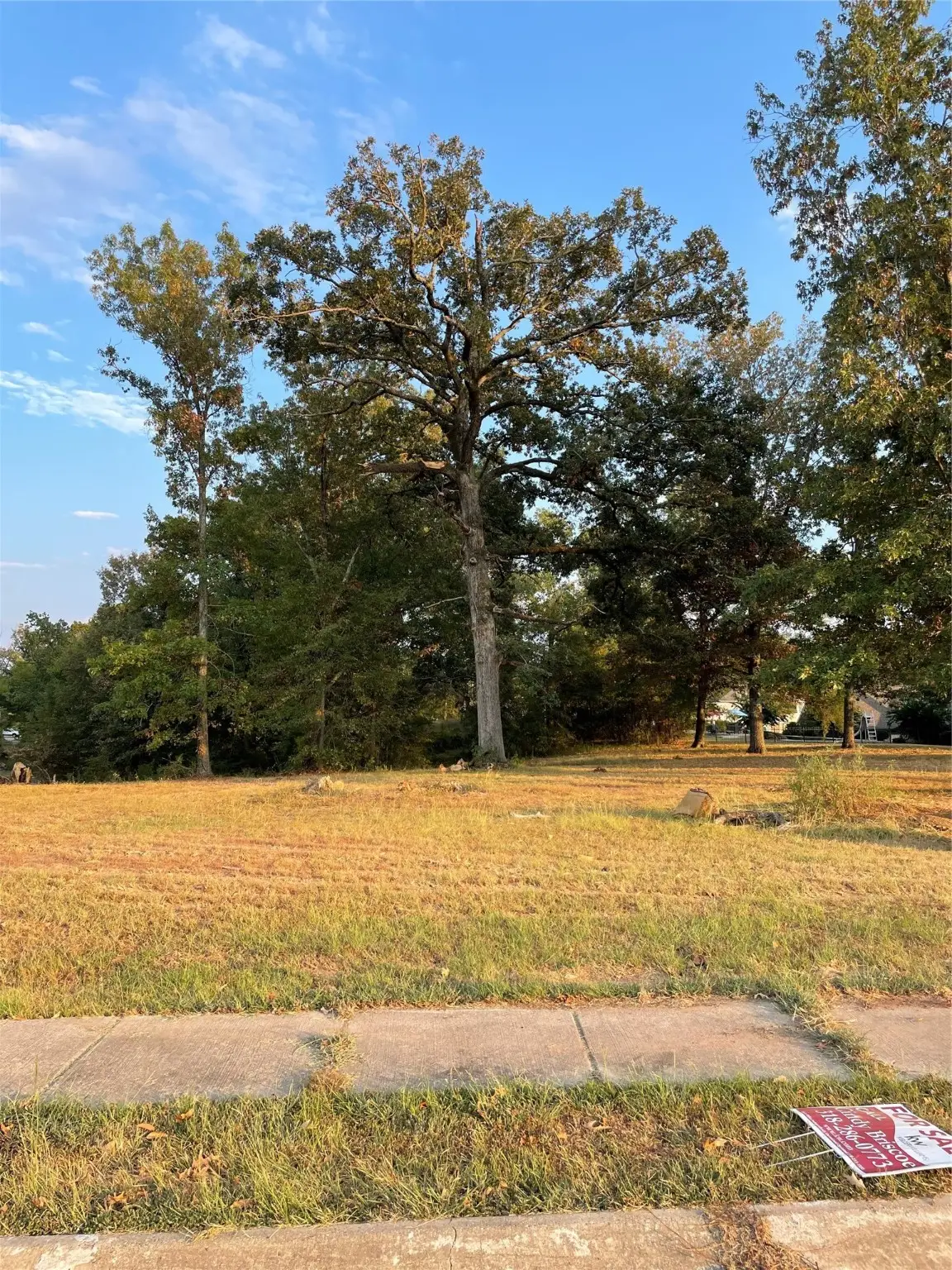 18 Legacy Drive, Haughton, LA 71037 - Image #1