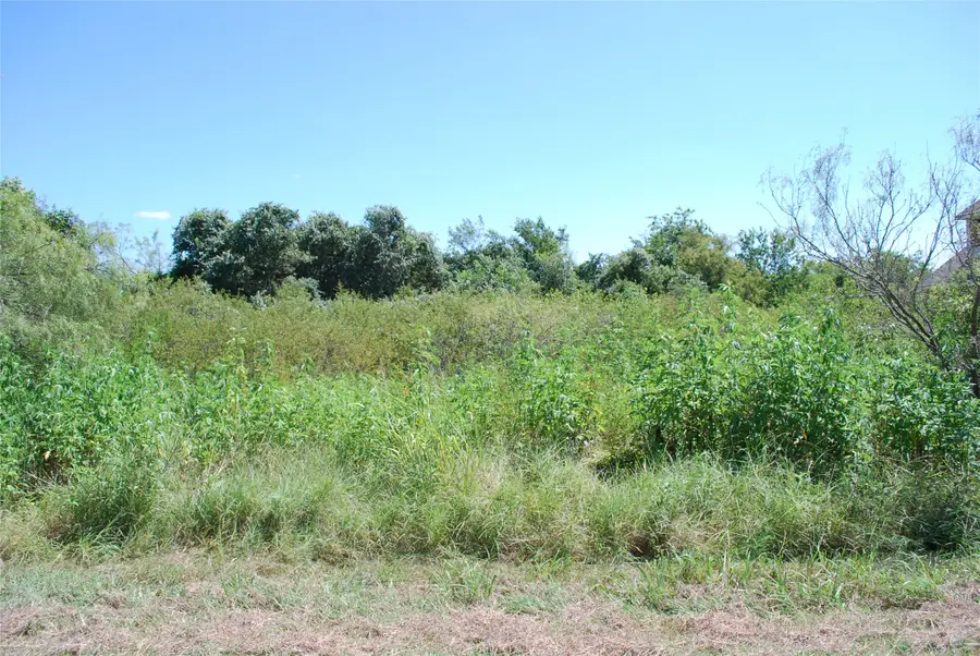 22210 Field Street, Whitney, TX 76692 - #3