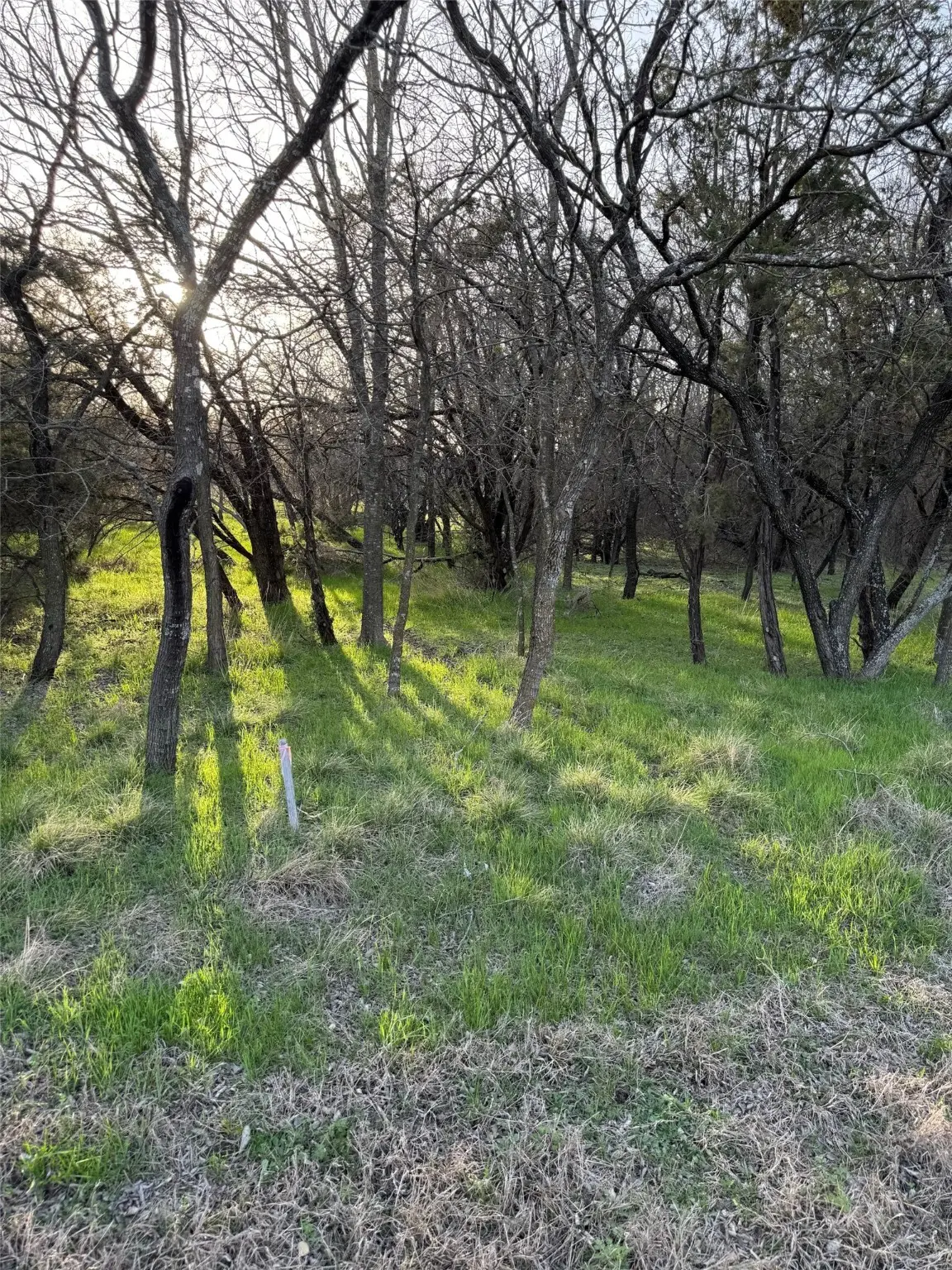 12147 Trailwood Drive, Whitney, TX 76692 - #1