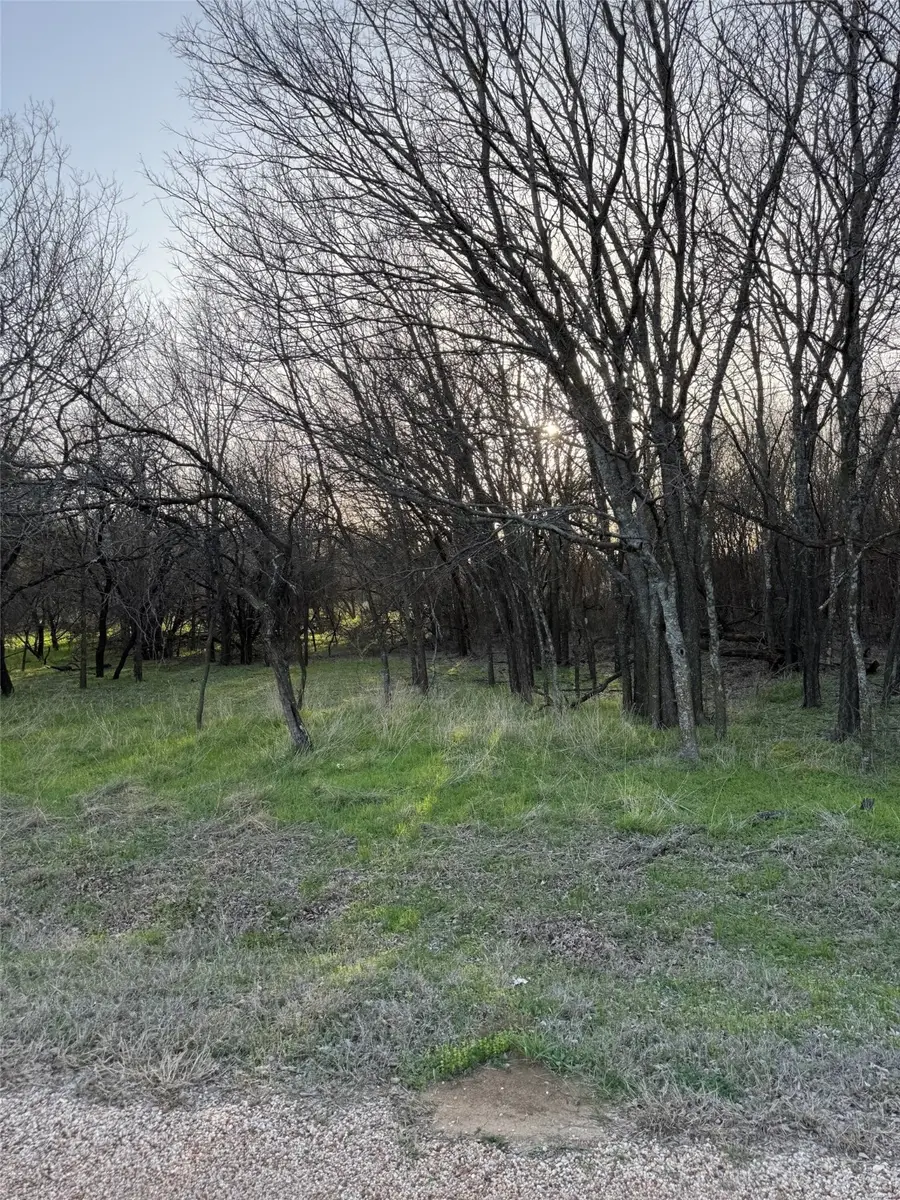 12147 Trailwood Drive, Whitney, TX 76692 - #2