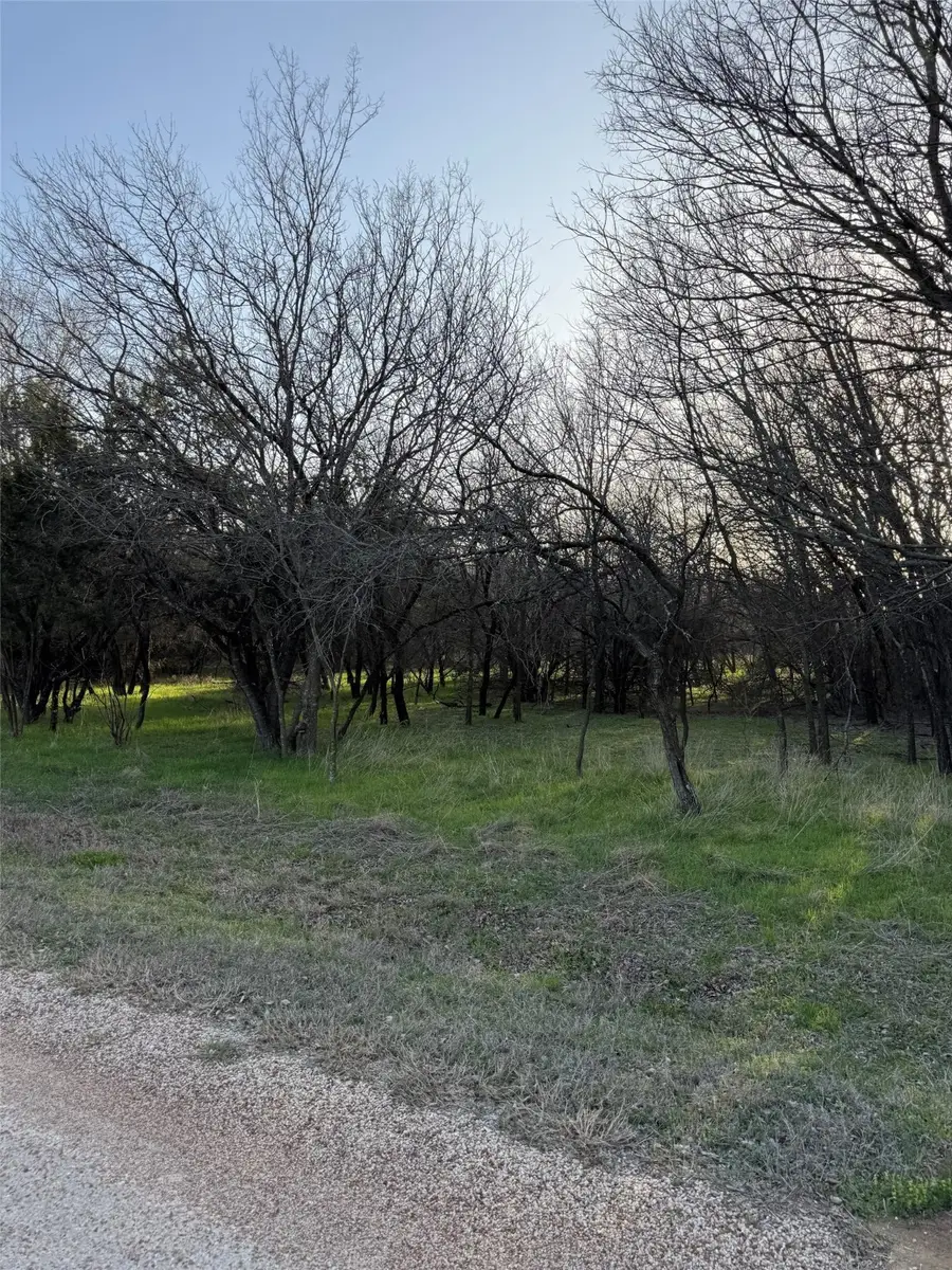 12147 Trailwood Drive, Whitney, TX 76692 - #3