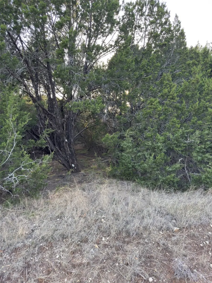 22295 Westmeadow Drive, Whitney, TX 76692 - #2