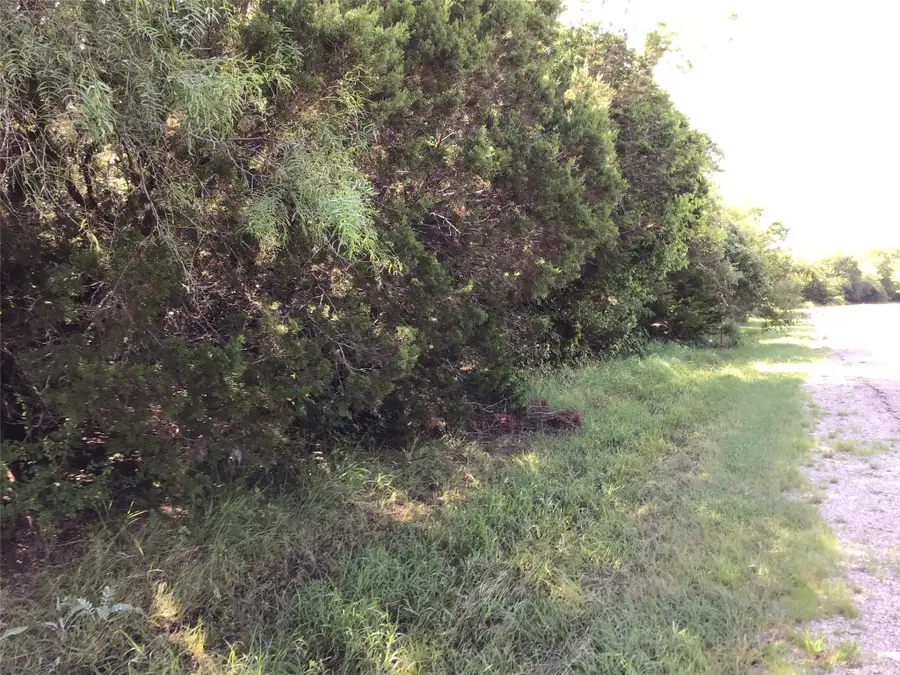 12117 Oak Dale Drive, Whitney, TX 76692 - #3