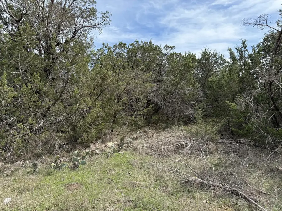 6102 Tin Top Highway, Granbury, TX 76048 - Image #3