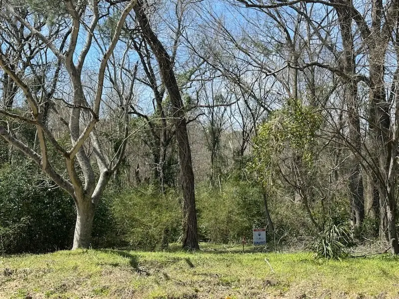 8329 Paluxy Drive, Tyler, TX 75703 - Image #1