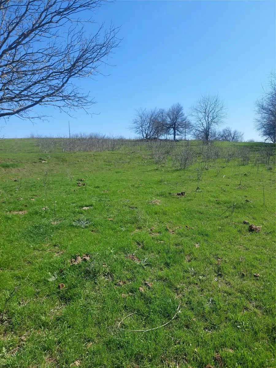 36 Lot 36, Grandview, TX 76050 - Image #3