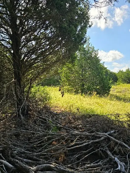 3694 County Road 1103, Celeste, TX 75423 - Image #1