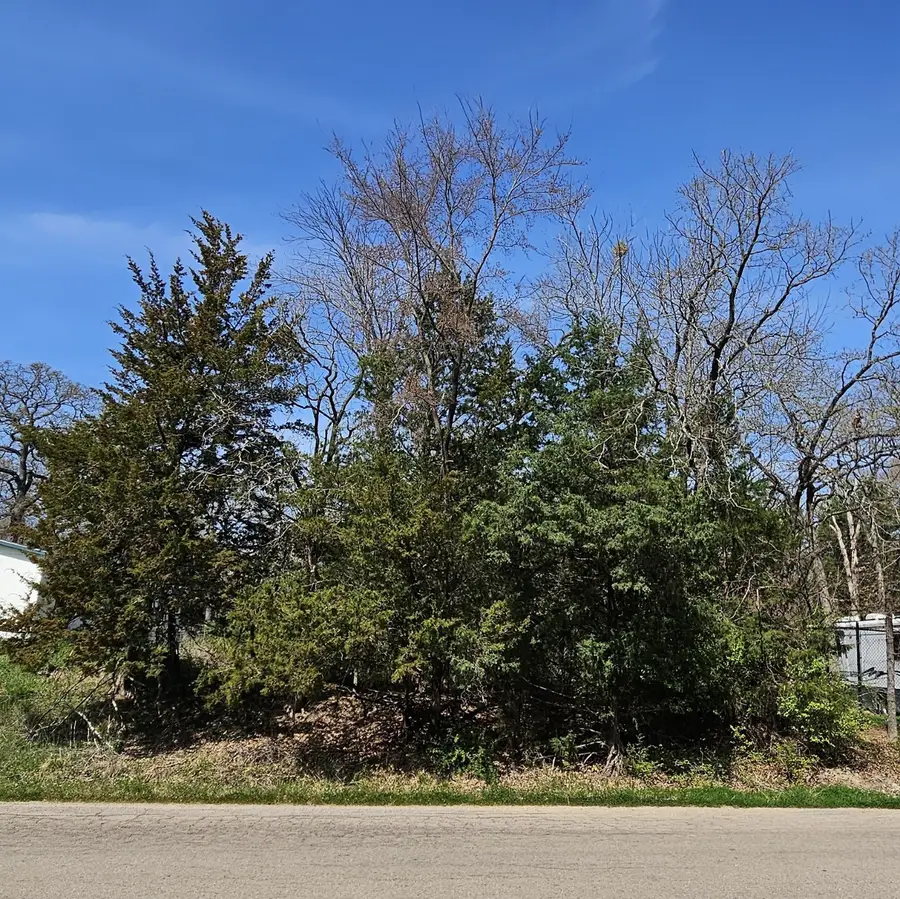 TBD W Lane Street, Quinlan, TX 75474 - Image #2