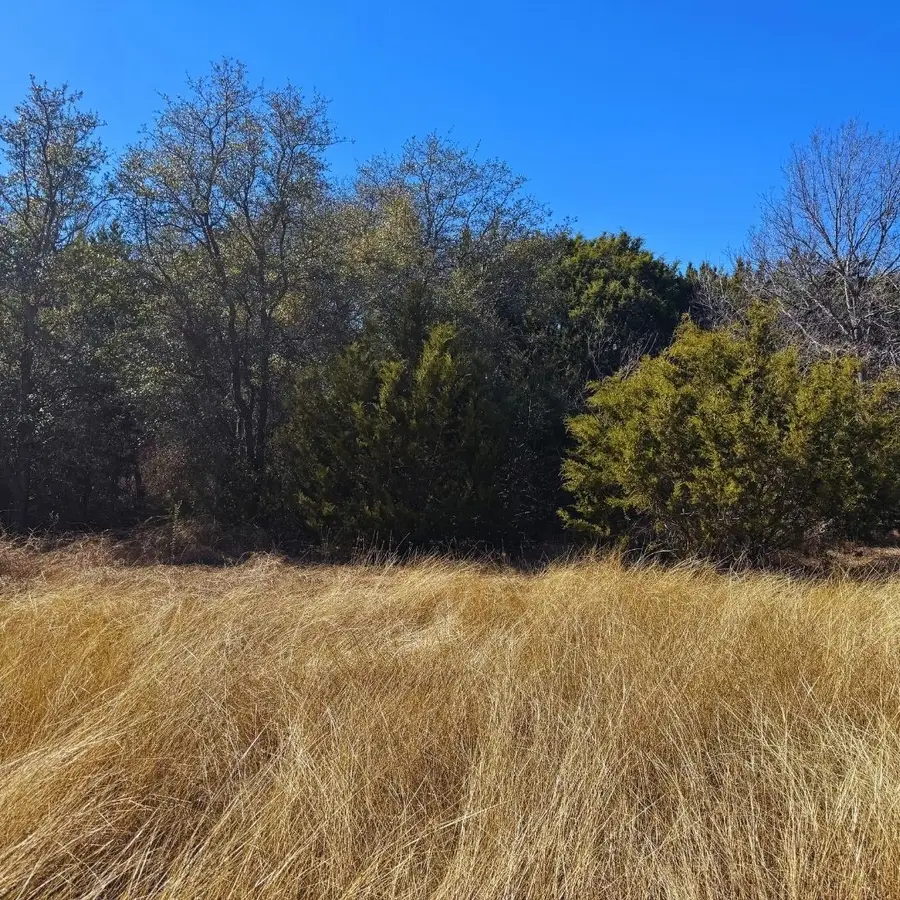 TBD Mesa Vista Drive, Stephenville, TX 76401 - Image #2