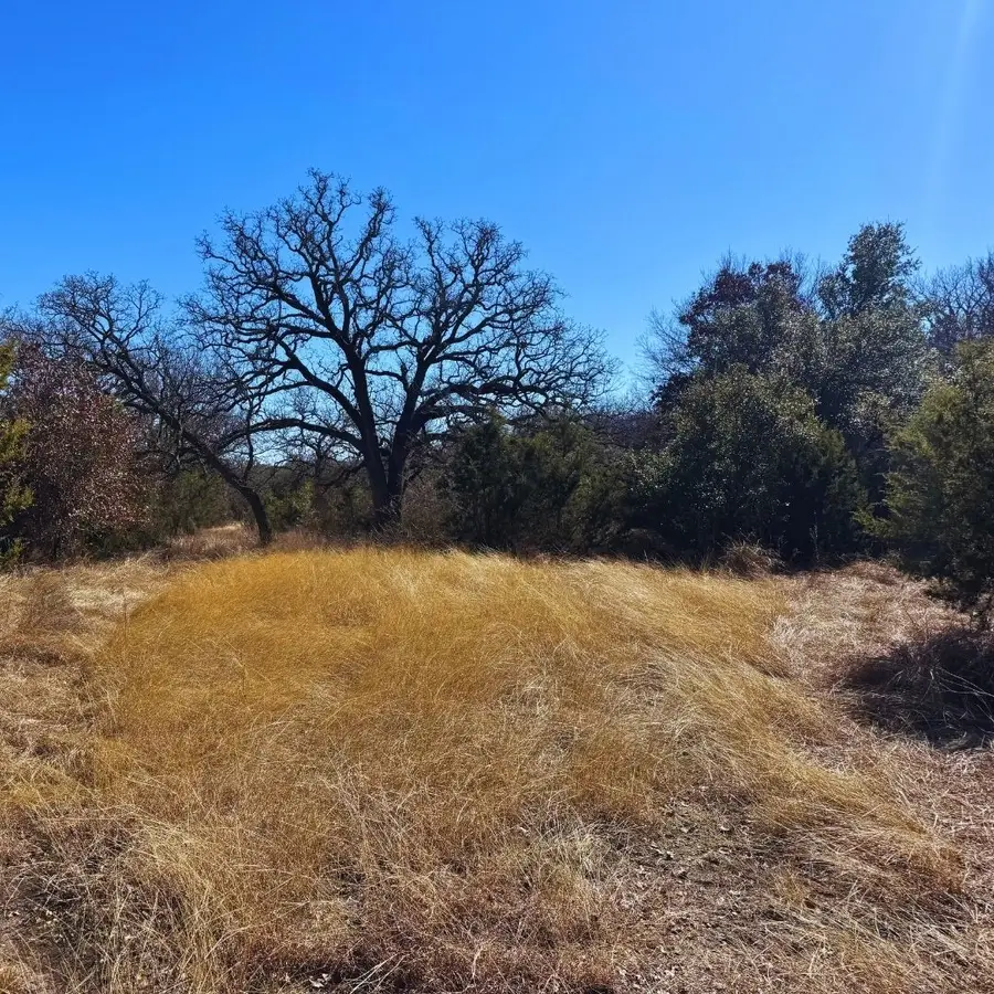 TBD Mesa Vista Drive, Stephenville, TX 76401 - Image #3