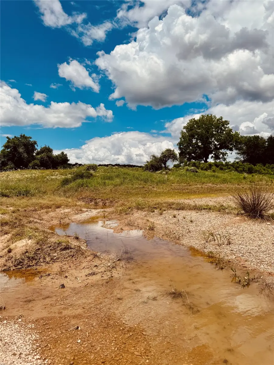 2017 River Shoals Road, Palo Pinto Santo, TX 76067 - Image #3
