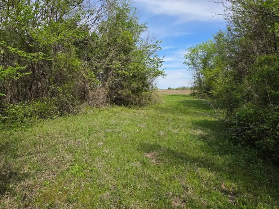 Lot 95 Stillwater Shores Drive, Corsicana, TX 75109 - Image #3