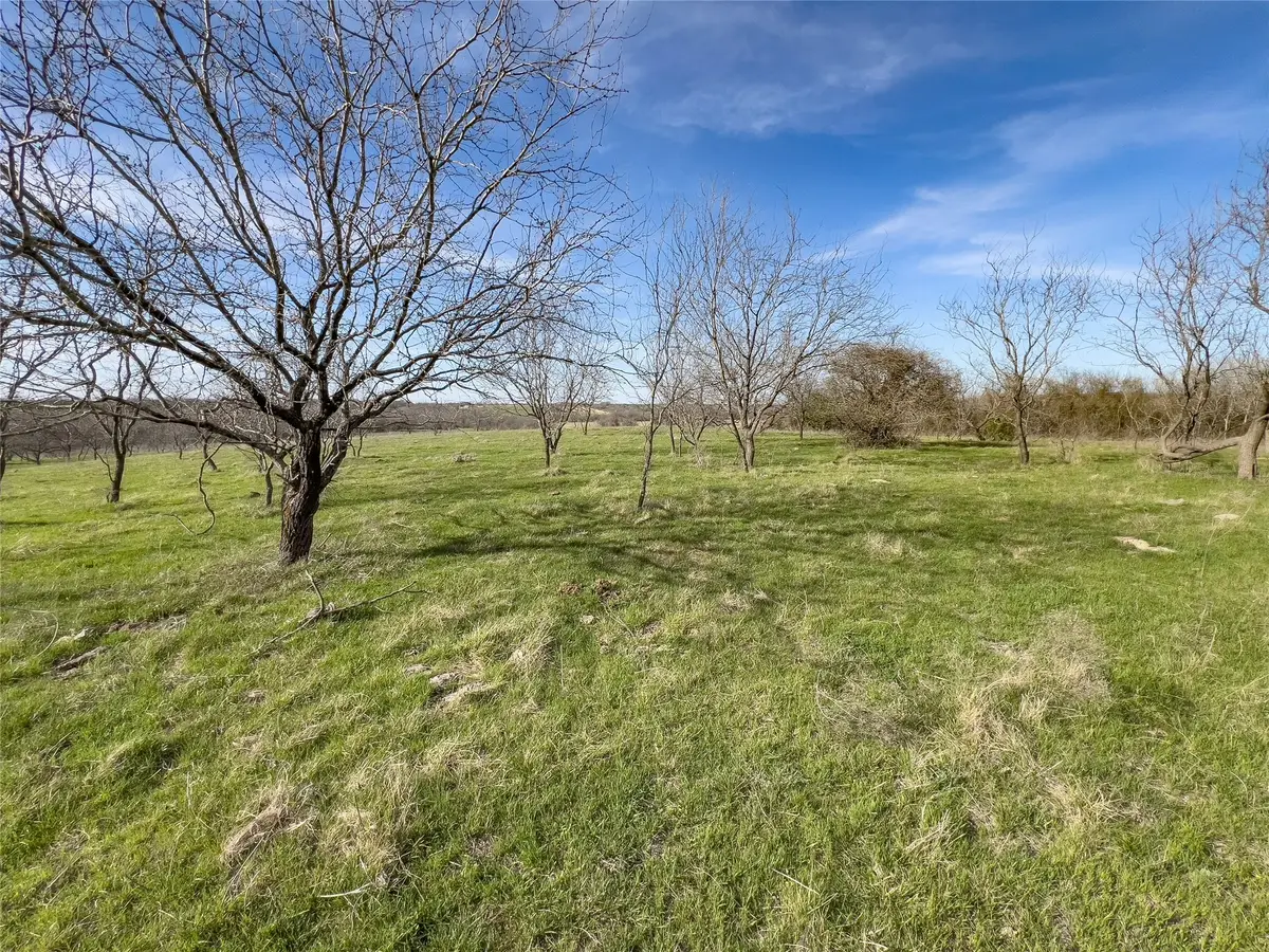 647 Hcr-4411, Grandview, TX 76050 - Image #1