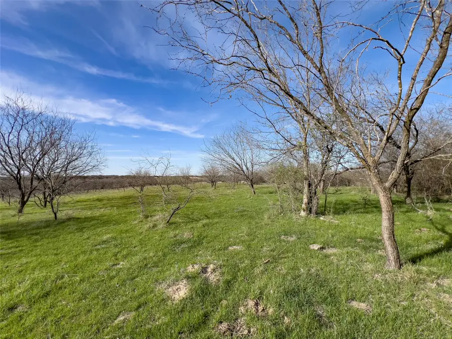 647 Hcr-4411, Grandview, TX 76050 - Image #2