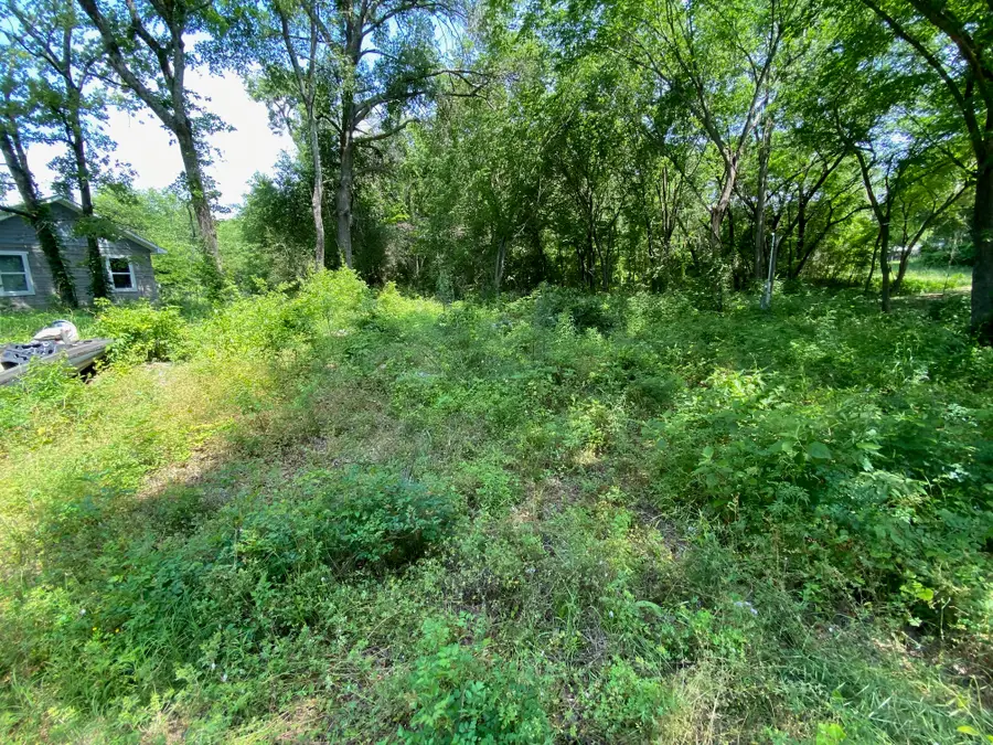 149 Lake Creek Drive, Mabank, TX 75156 - Image #3