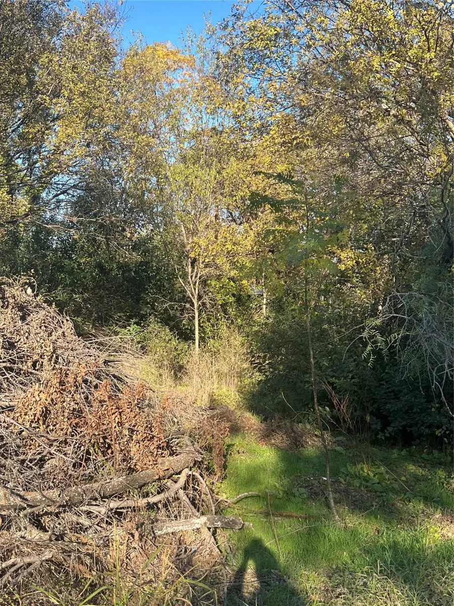 3809 Hedge Row Street, Granbury, TX 76048 - Image #2