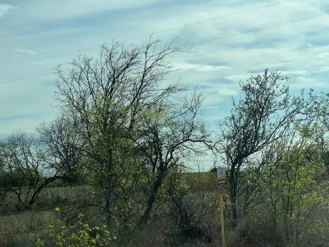 0 Brammer Drive, Aurora, TX 76078 - Image #2