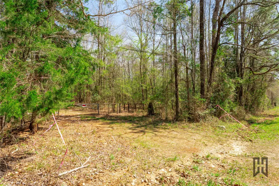 C-2 Fuller Cemetery, Minden, LA 71055 - Image #2