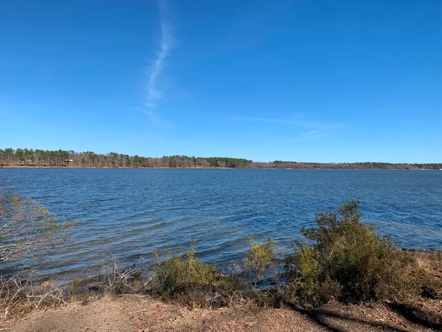 3266 Shadow Pine Drive, Larue, TX 75770 - Image #2