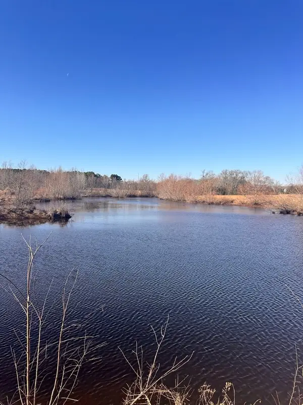 13233 County Road 3801, Athens, TX 75752