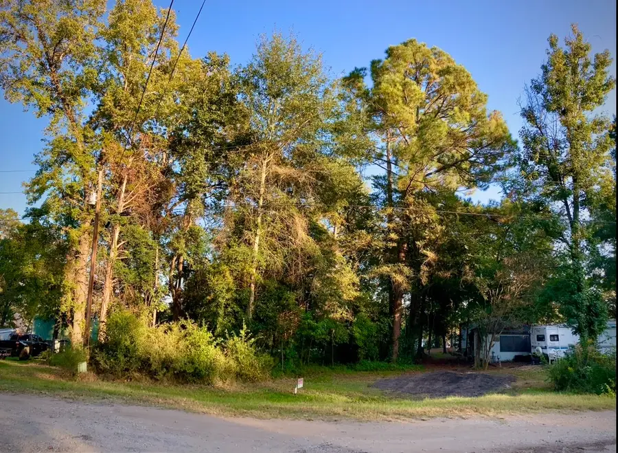 262 E Walnut Trail, Murchison, TX 75778 - Image #3