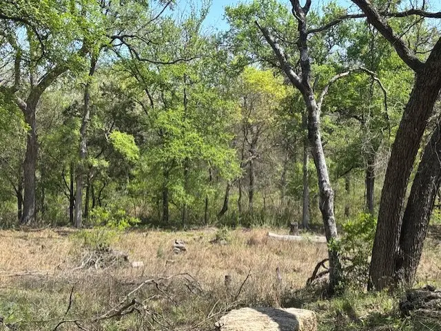 1255 Eagles Bluff Drive, Weatherford, TX 76087 - Image #2