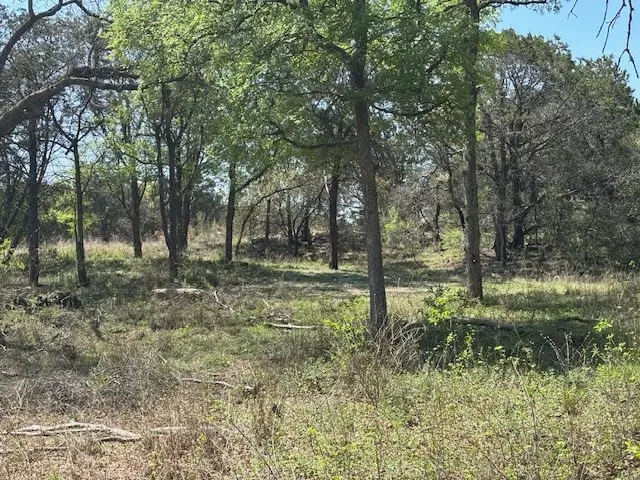 1255 Eagles Bluff Drive, Weatherford, TX 76087 - Image #3