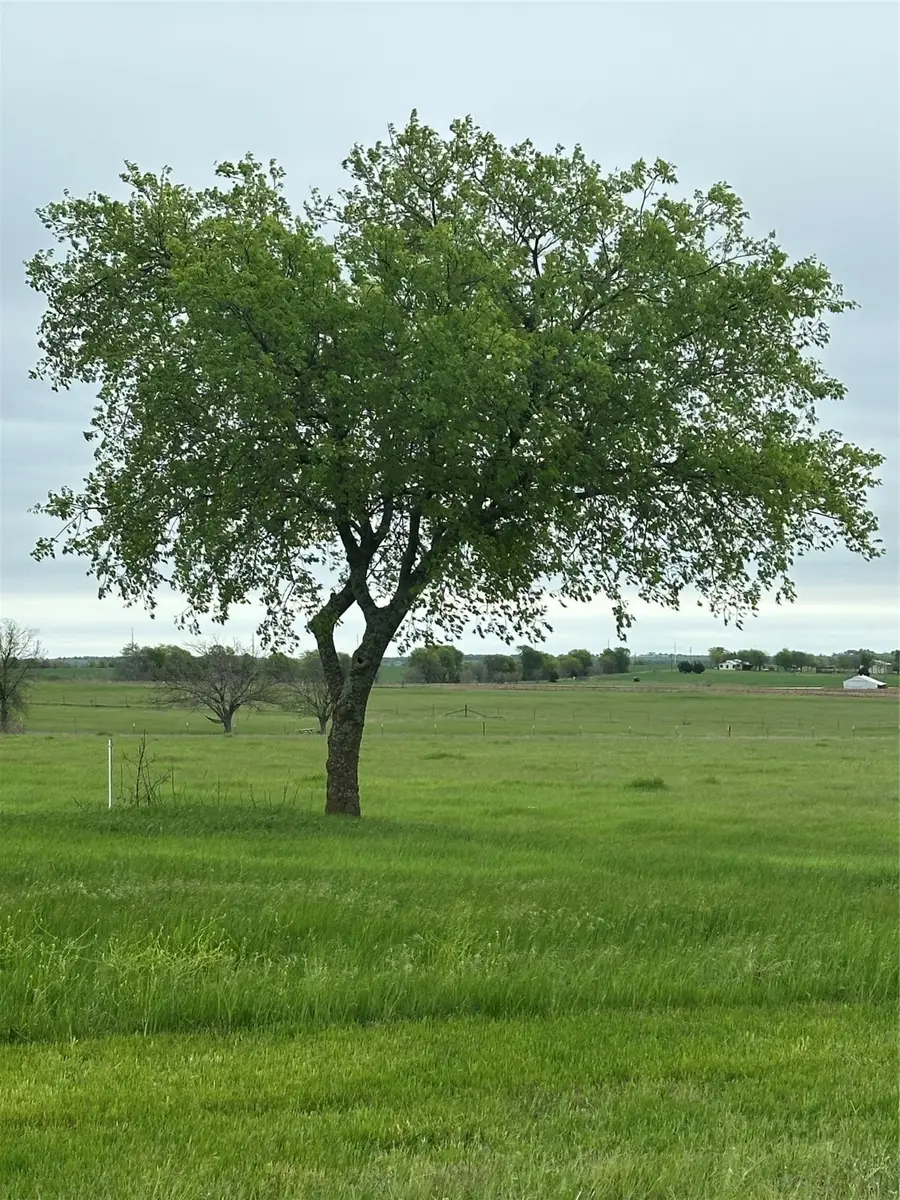 TBD -1 Fm 1198, Muenster, TX 76252 - Image #3