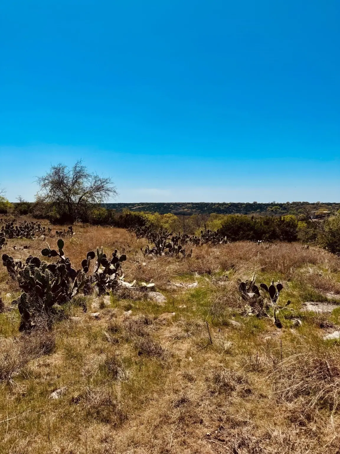 166 Yosemite Drive, Oglesby, TX 76561 - Image #1