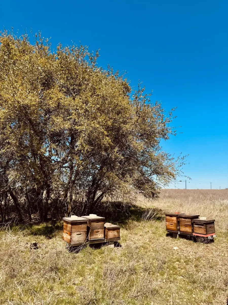 166 Yosemite Drive, Oglesby, TX 76561 - Image #2