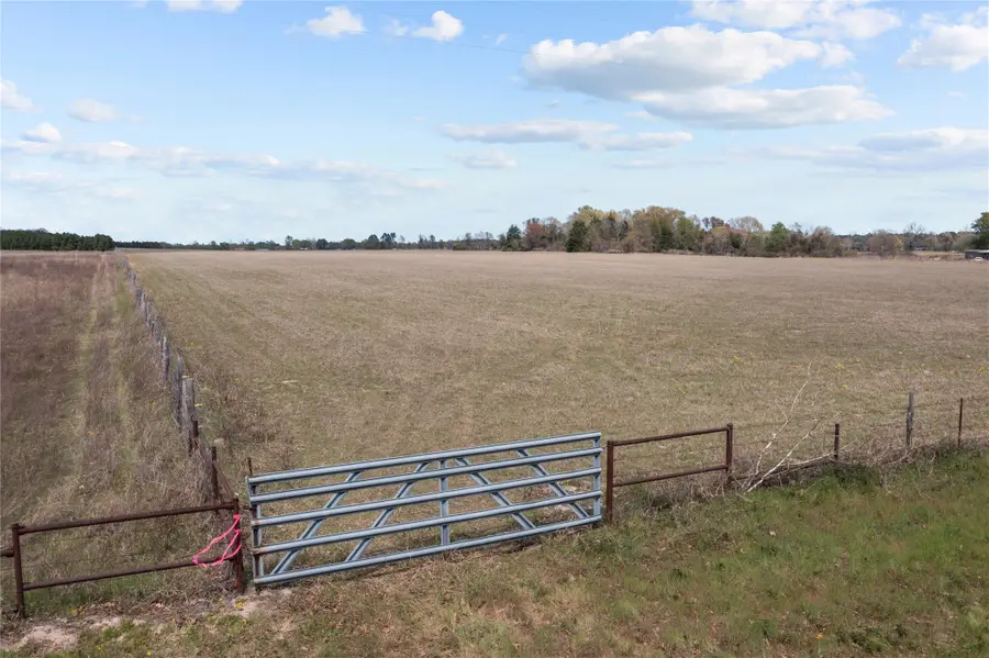 16 Acres County Road 460 Road, Grand Saline, TX 75140 - Image #3