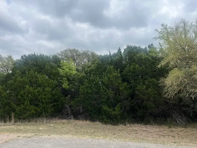 10019 Ridgeway Court, Whitney, TX 76692 - #1