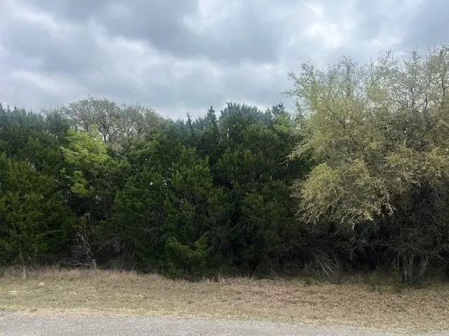 10019 Ridgeway Court, Whitney, TX 76692 - #2