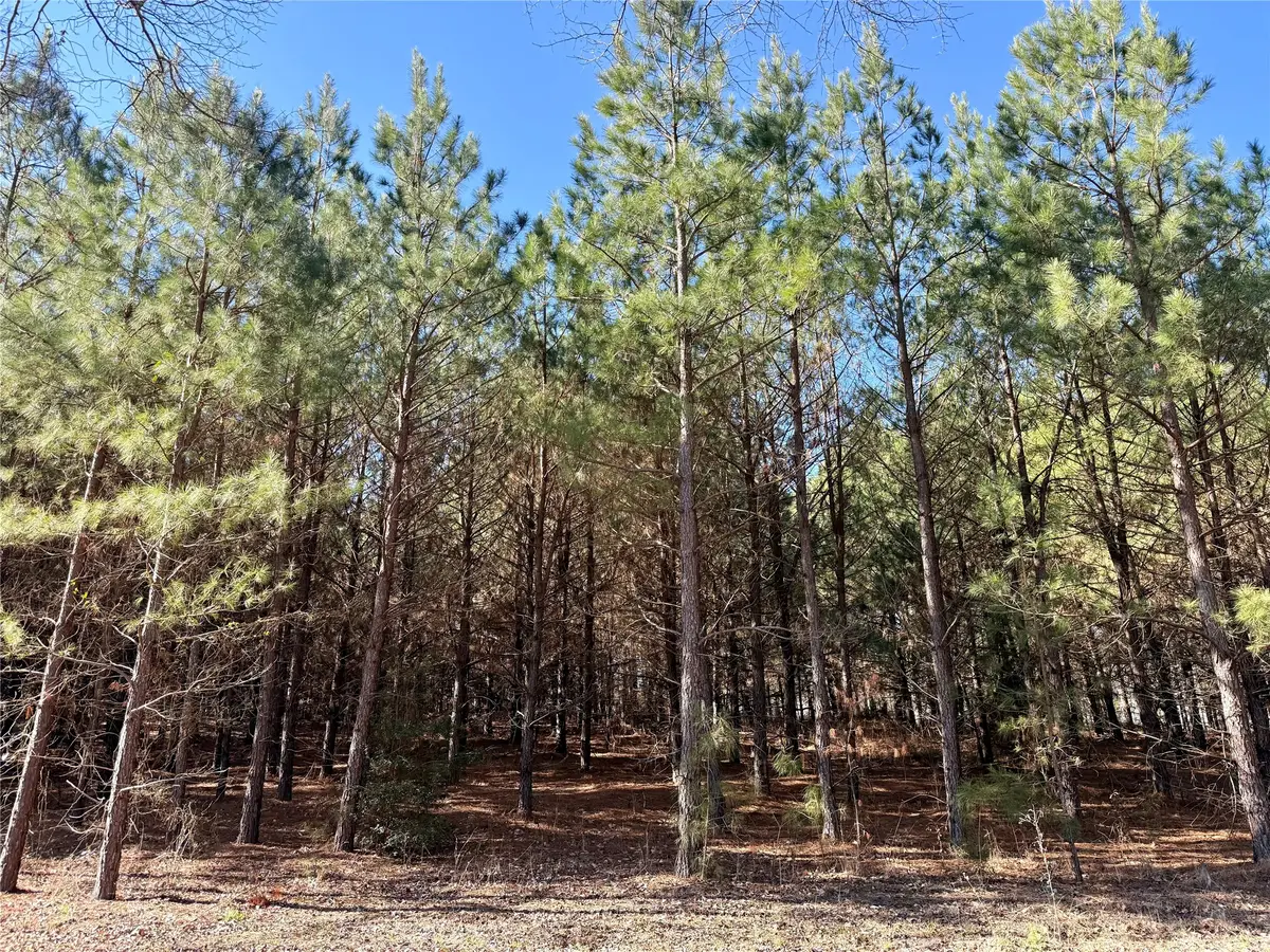 TBD-8 Hwy 271, Gladewater, TX 75647 - #1