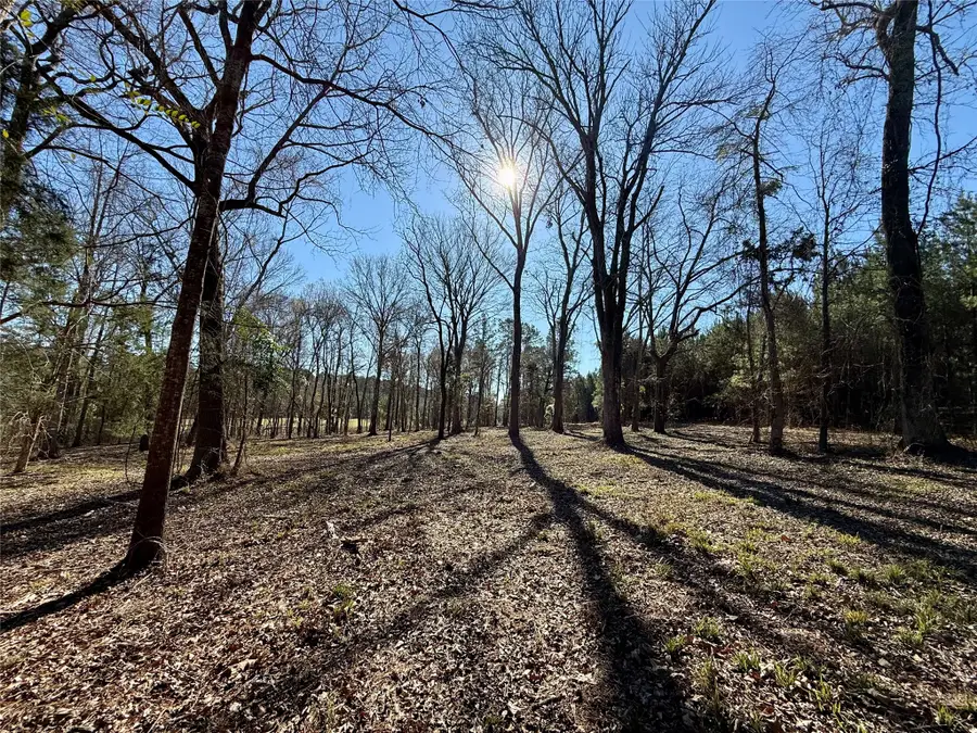 TBD-8 Hwy 271, Gladewater, TX 75647 - #2
