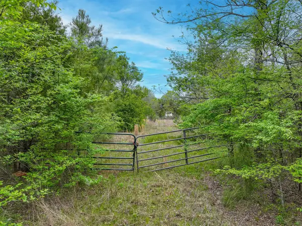 TBD County Road 3105, Chandler, TX 75758