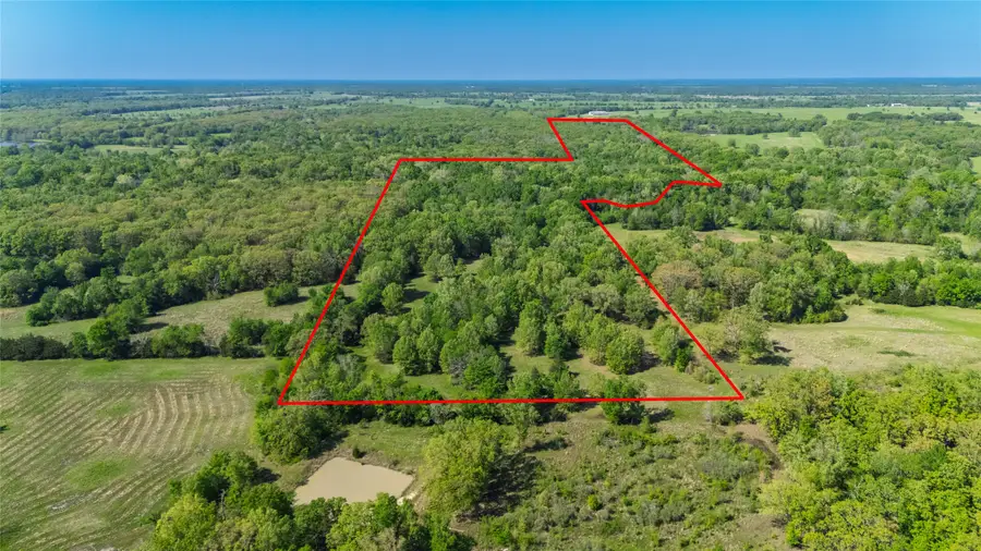 12254 Farm Road 69 N, Sulphur Bluff, TX 75481 - Image #3