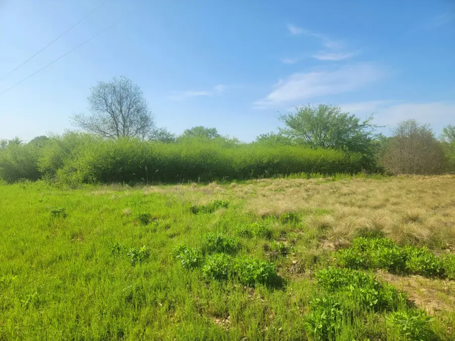 1821 County Road 1570, Alba, TX 75410 - Image #2