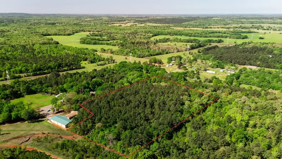 00 Cr-4400, Larue, TX 75770 - Image #2