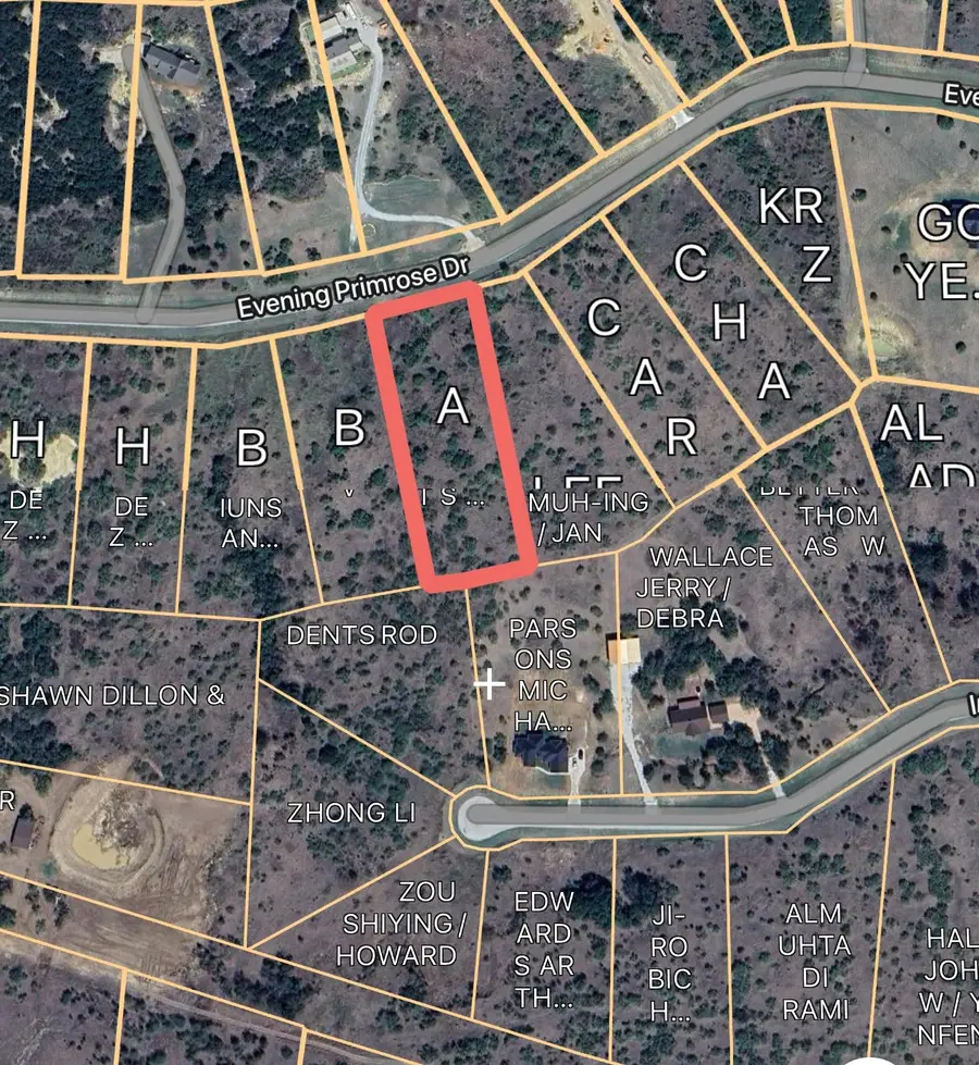 Lot 203 Evening Primrose Drive, Possum Kingdom Lake, TX 76449 - Image #2