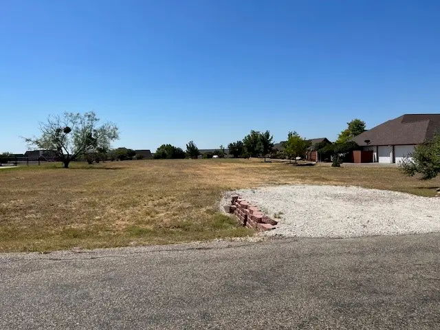 1511 Lady Amber Lane, Granbury, TX 76049 - Image #3