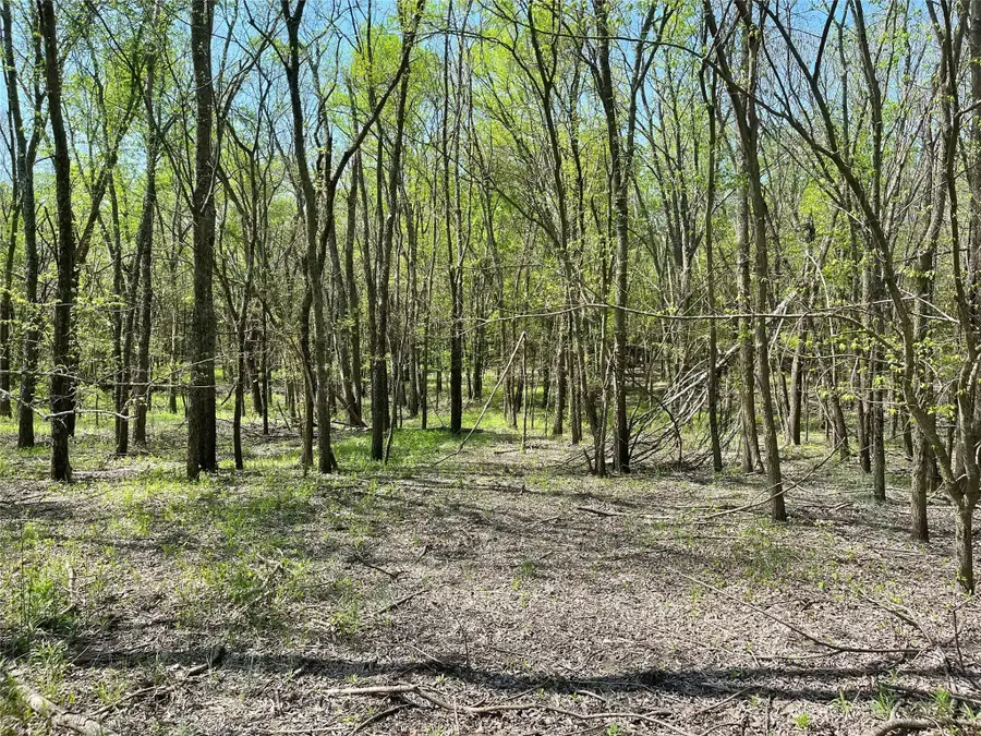TBD County Road 3555, Honey Grove, TX 75446 - Image #2