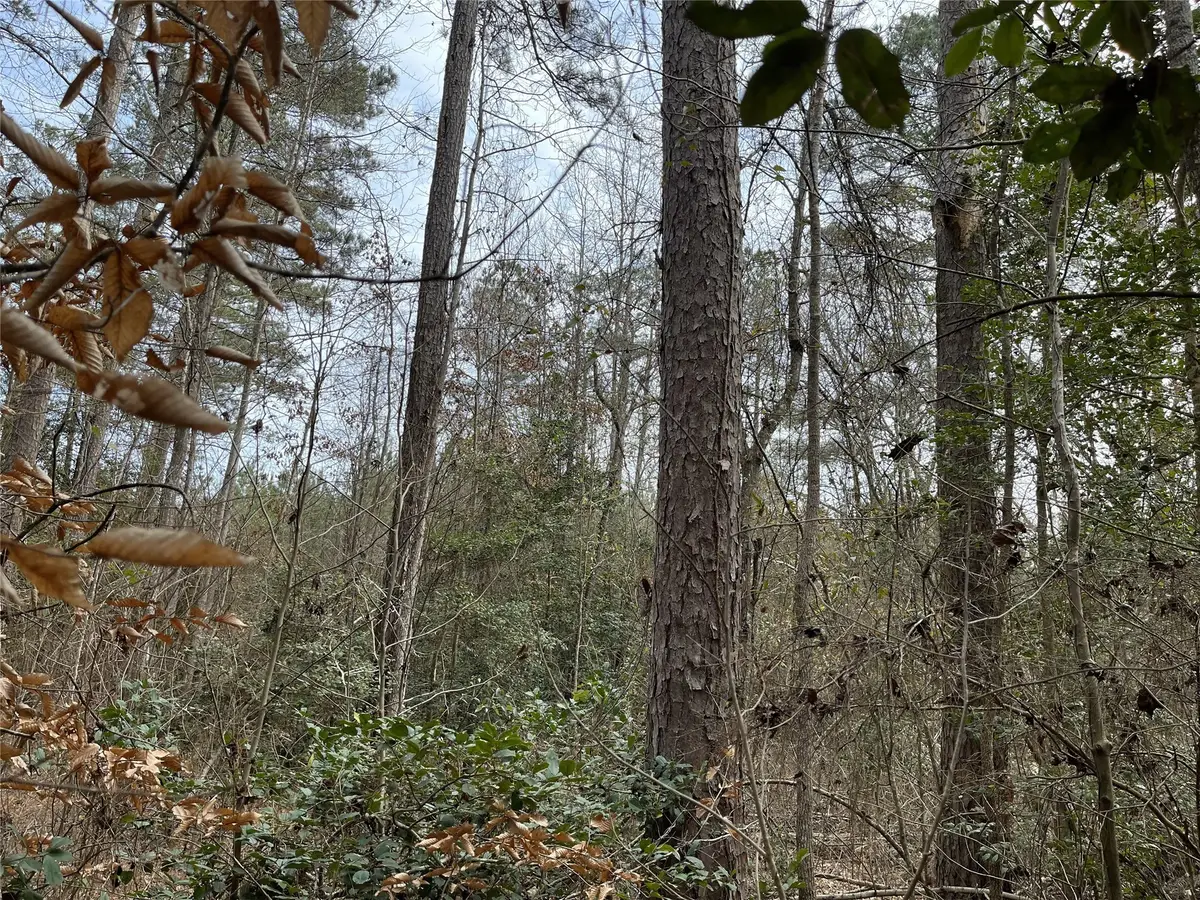 10-23-1 Gaston Rd Road, Spearsville, LA 71277 - Image #1