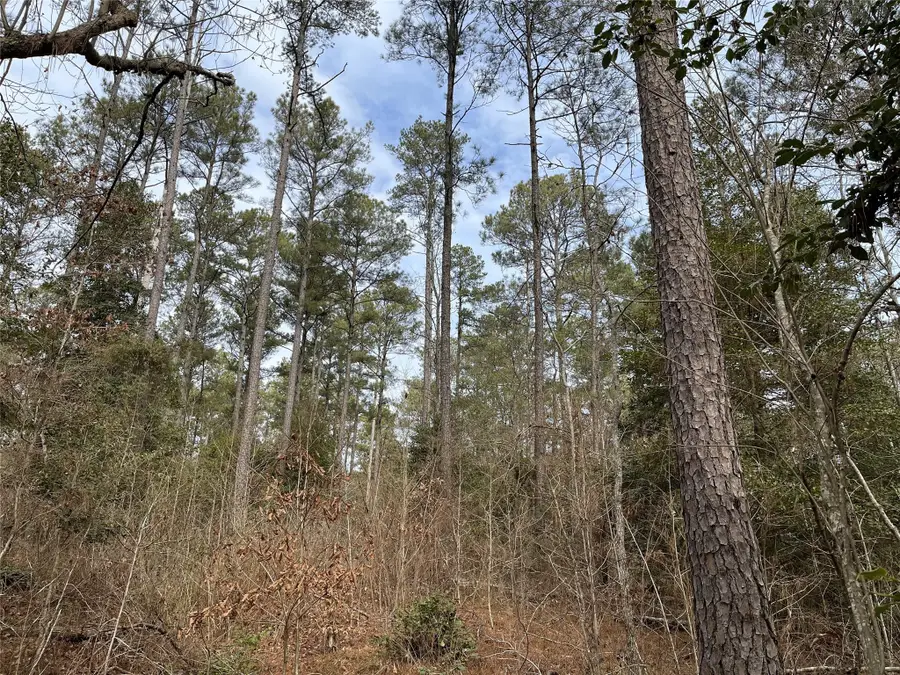 10-23-1 Gaston Rd Road, Spearsville, LA 71277 - Image #2